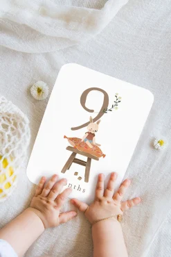 CARTES ÉTAPES COTTON BIRD (version anglaise)