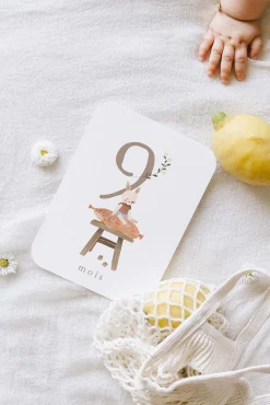CARTES ÉTAPES COTTON BIRD (version française)