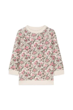 Robe Algonya